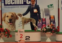 ИЛ Европа Плюс, СС