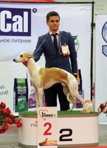 ИЛ Орлов Граф, СС