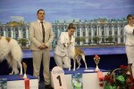 18-19 апреля 2026. Рейтинговые выставки в Петербурге